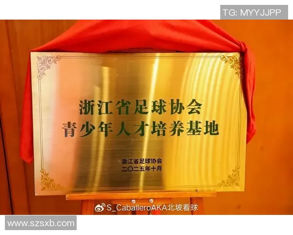 足球U的崛起与发展探讨青年足球人才培养的新路径与挑战